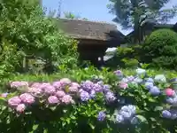 極楽寺(霊鷲山感應院極楽律寺)の自然