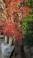 伏木香取神社(茨城県)