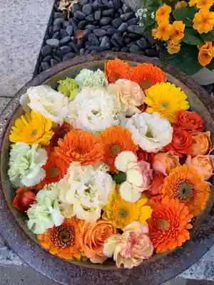 彌都加伎神社の手水舎