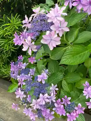 建長寺(神奈川県)