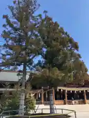 寒川神社(神奈川県)