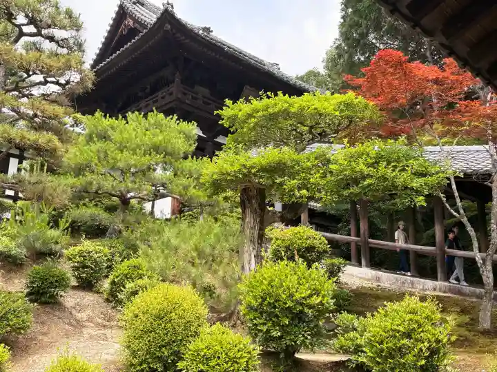 東福禅寺(東福寺)(京都府)