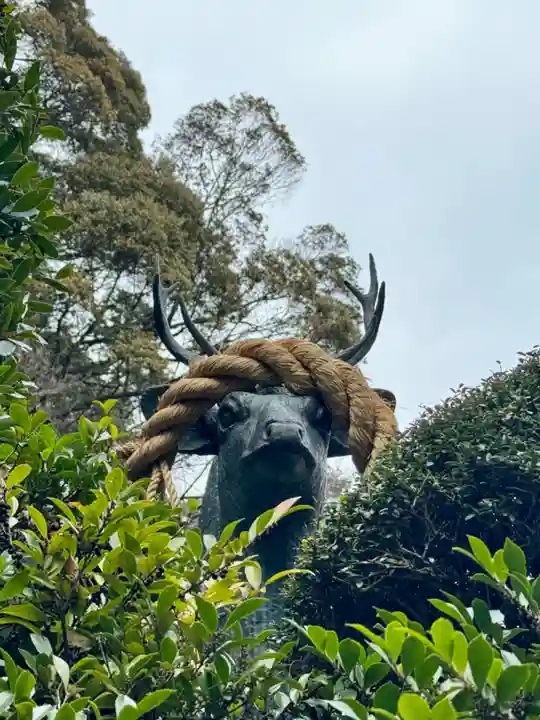 安養寺(立木観音)(滋賀県)