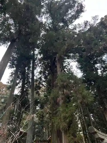 大宮温泉神社(栃木県)