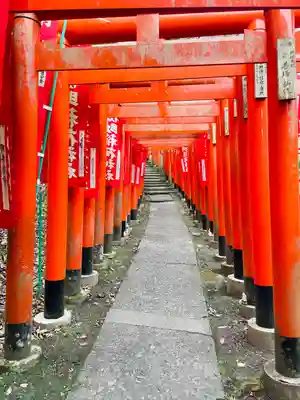 佐助稲荷神社の鳥居