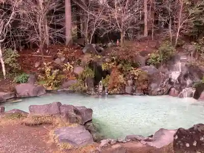 霧島神宮(鹿児島県)