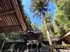 矢彦神社(長野県)