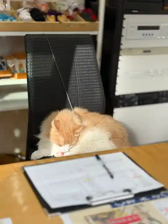 駒込妙義神社(東京都)