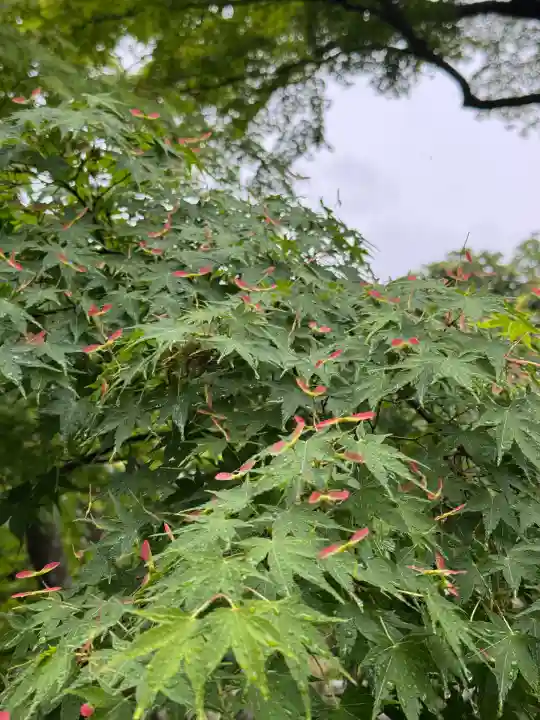 円覚寺(神奈川県)