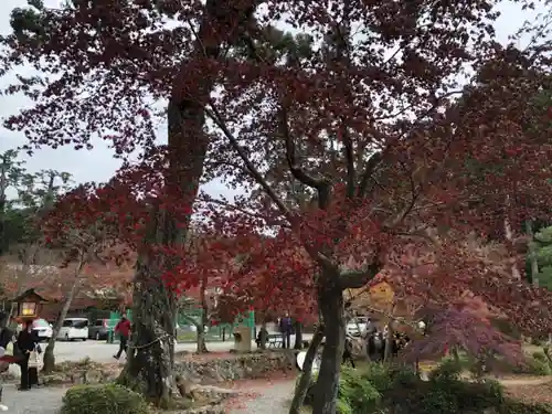 大原野神社の景色