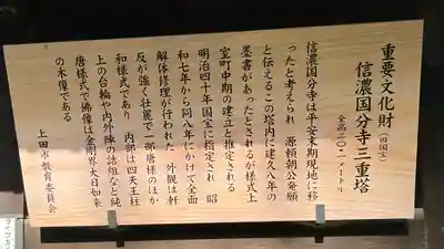 信濃國分寺の歴史