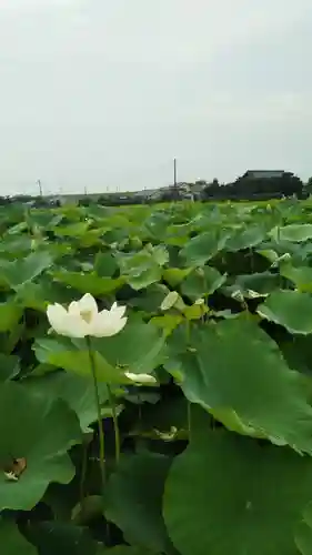 源昌院の自然