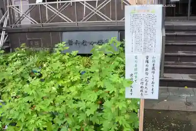 鷲神社(東京都)
