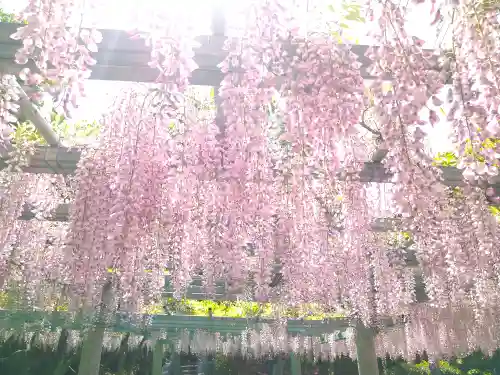 阿智神社の庭園