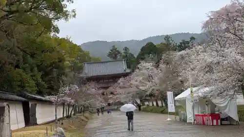 醍醐寺(京都府)