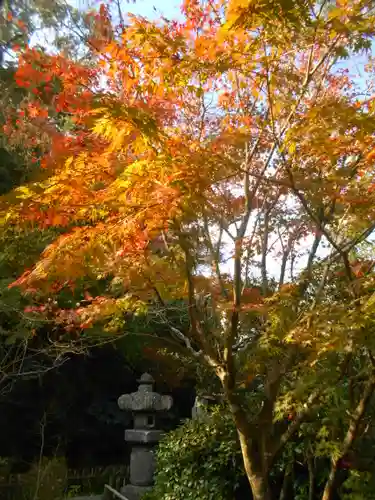 安國論寺（安国論寺）の自然