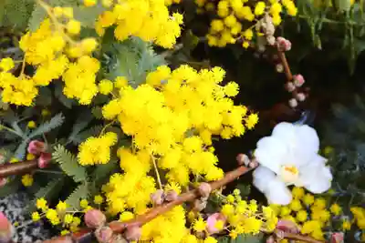 三津厳島神社の手水舎