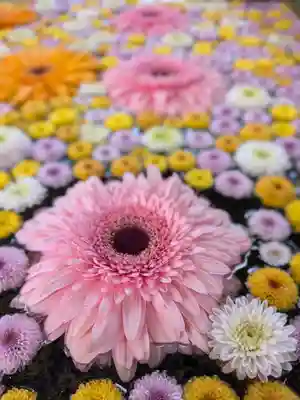 高円寺氷川神社(東京都)