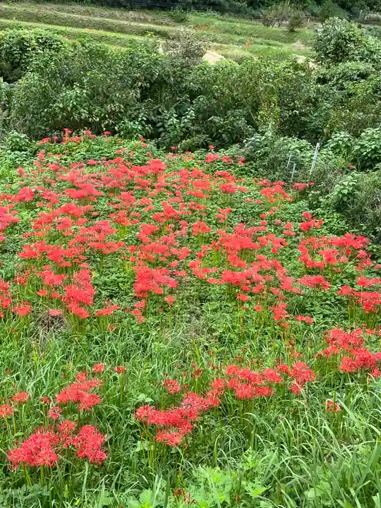 宝城坊(神奈川県)
