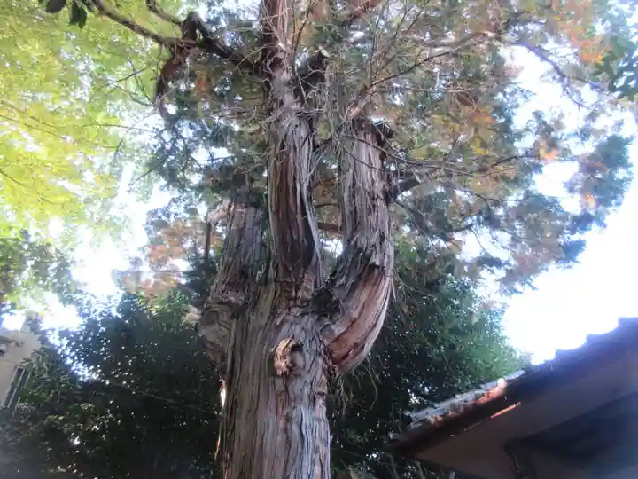 御嶽神社(東京都)
