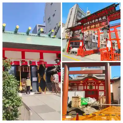 鷲神社の{uncategorized: "未分類", other: "その他", undefined: "問題あり", building: "その他建物", grave: "お墓", sacred_gate: "鳥居", guardian: "狛犬", statue: "像", buddha: "仏像", history: "歴史", nature: "自然", garden: "庭園", animal: "動物", pagoda: "塔", temizu: "手水舎", mountain_gate: "山門・神門", sanctuary: "本殿・本堂", subordinate: "末社・摂社", art: "芸術", scenery: "景色", jizo: "地蔵", ema: "絵馬", goshuin: "御朱印", omikuji: "おみくじ", items: "授与品その他", amulet: "お守り", goshuincho: "御朱印帳", eats: "食事", festival: "お祭り", votive_dance: "神楽", shichigosan: "七五三参", wedding: "結婚式", experience: "体験その他", initially: "初詣", around: "周辺", anti_infection: "感染症対策"}
