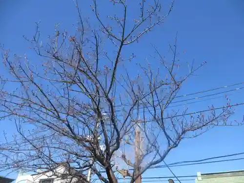 新宿下落合氷川神社(東京都)