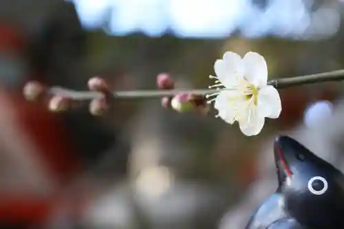 くまくま神社(導きの社 熊野町熊野神社)の自然