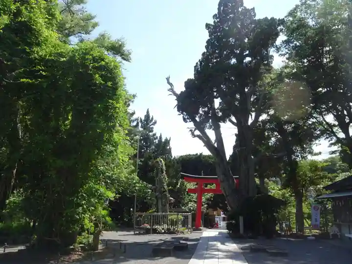 伊古奈比咩命神社(静岡県)