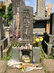 禅林寺のお墓