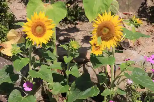 大鏑神社の自然