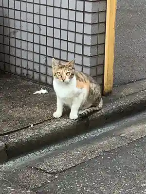浄信寺の動物