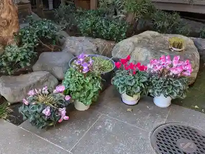 西教寺(東京都)