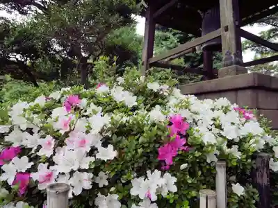 豪徳寺のその他建物