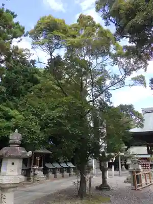 春日神社の自然