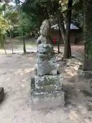 白兎神社の狛犬