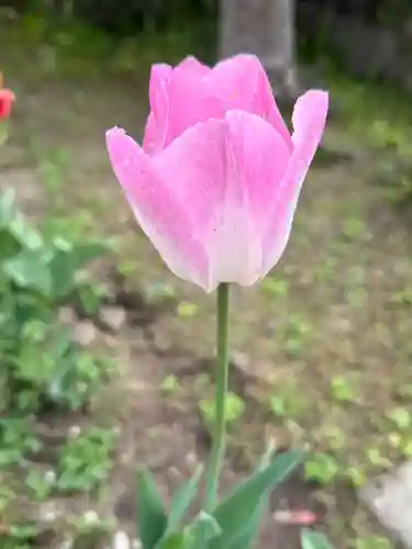 西方山極楽寺(岐阜県)