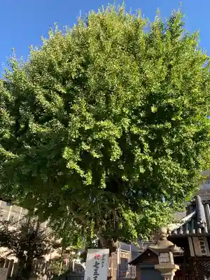 住吉神社(大阪府)