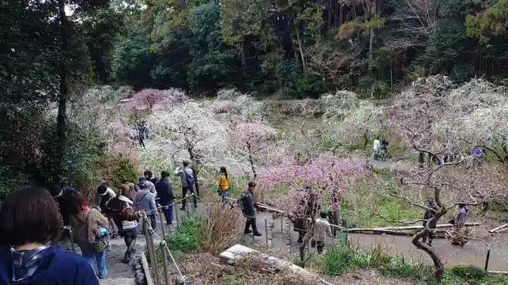 龍尾神社(静岡県)