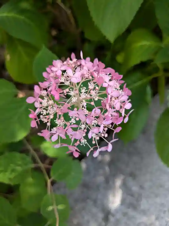 西野神社(北海道)