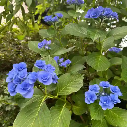 豊景神社(福島県)
