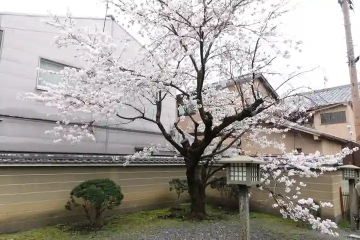 大報恩寺(千本釈迦堂)(京都府)