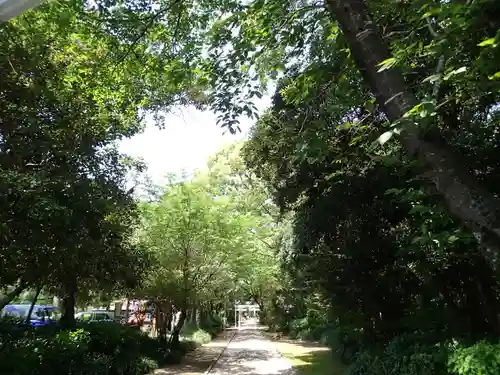 江田神社の自然