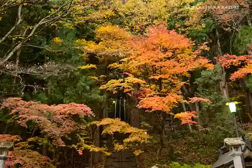 戸隠神社宝光社の自然