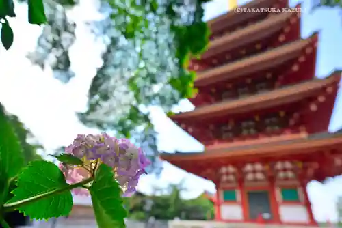 高幡不動尊　金剛寺(東京都)
