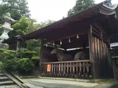 多賀神社(山口県)