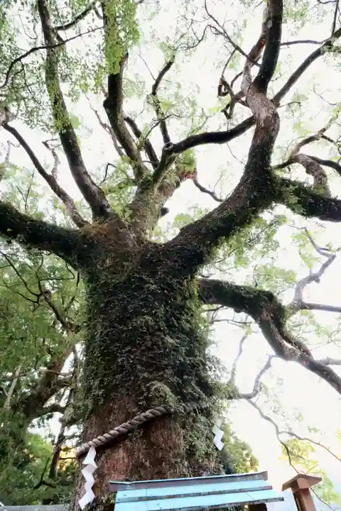 熊野那智大社(和歌山県)