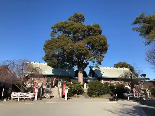 伊勢原大神宮の本殿・本堂