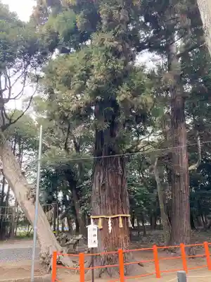 息栖神社(茨城県)