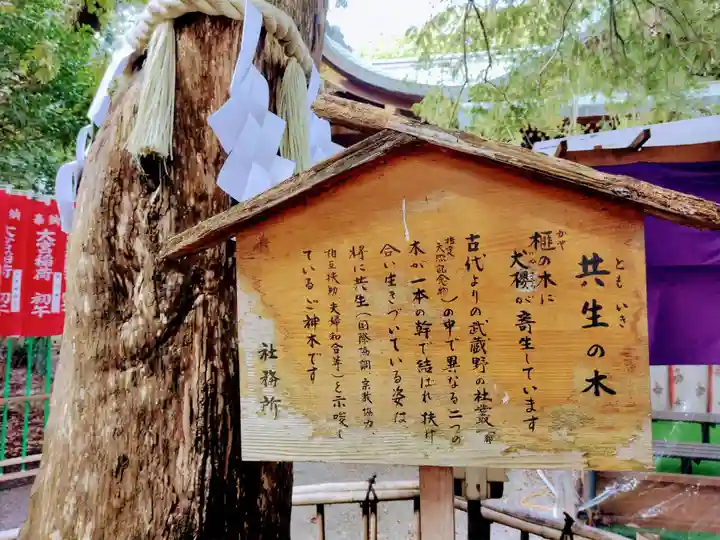 大宮八幡宮のその他建物