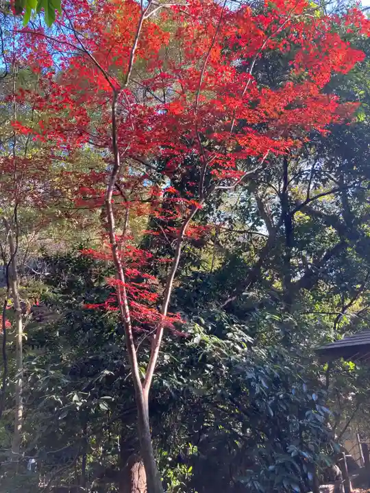 明王院(満願寺別院)の自然